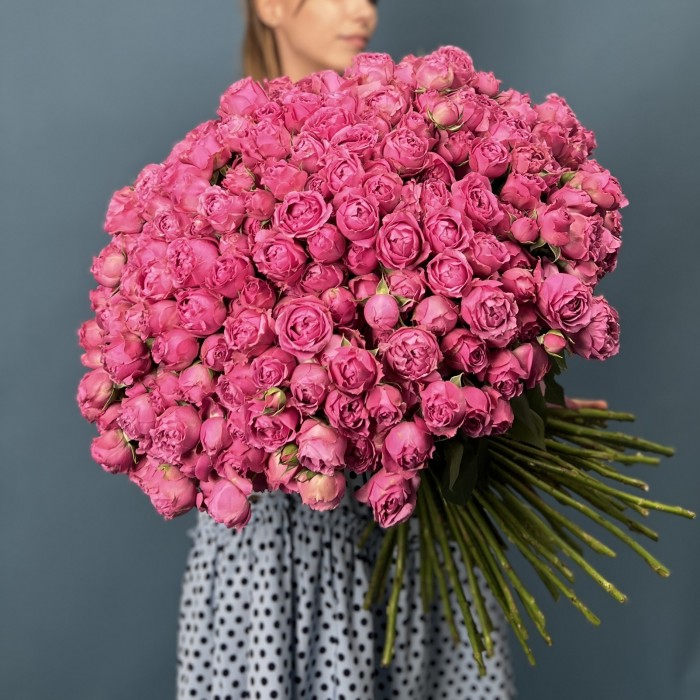 101 кустовая пионовидная Роза Мисти Баблс 60 см